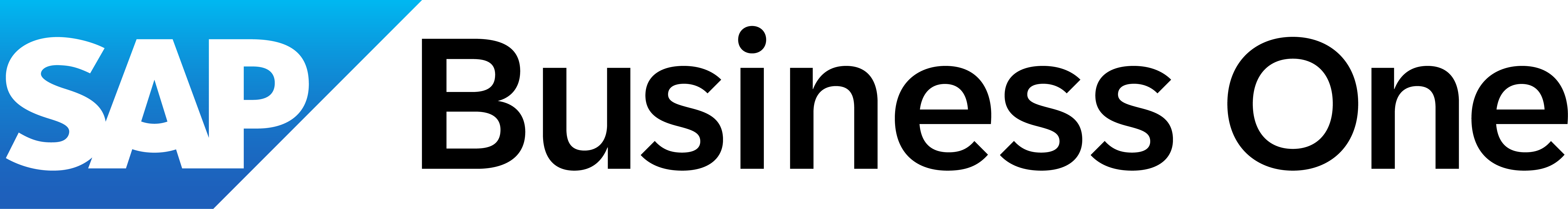 SAP Business One